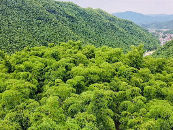 China Dazhuhai 3