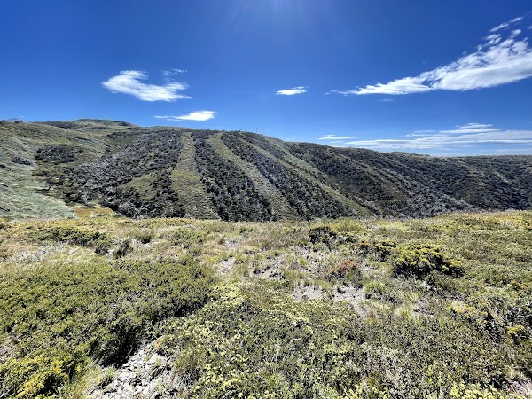 Mount Hotham 3