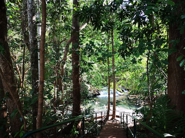 Berry Springs Nature Park 4