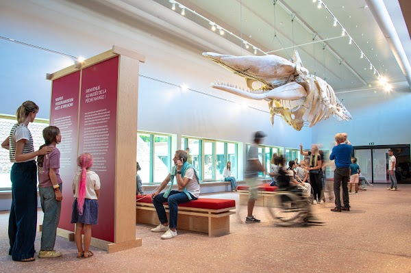 NAVIGO - National Fisheries Museum 1