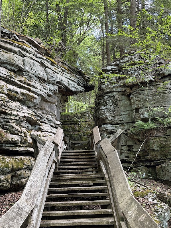 Beartown State Park