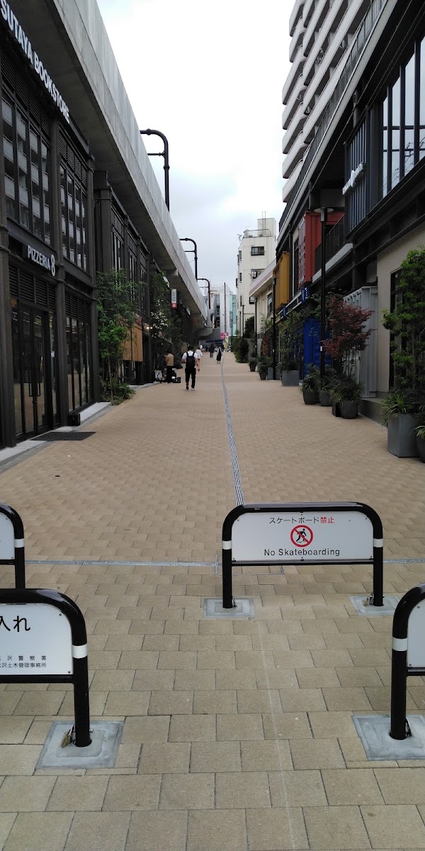 Kitazawa 3