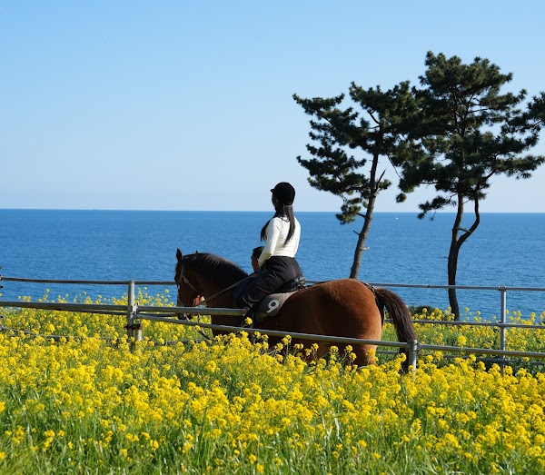 중문승마공원
