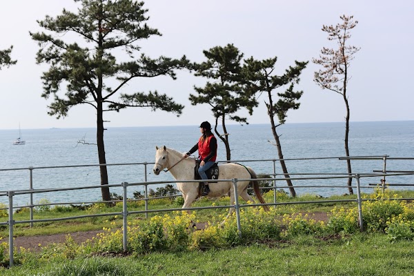 중문승마공원 3