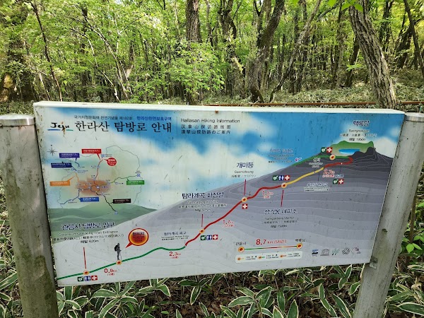 Hallasan National Park 3