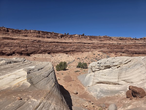 Nautilus Rock Formation