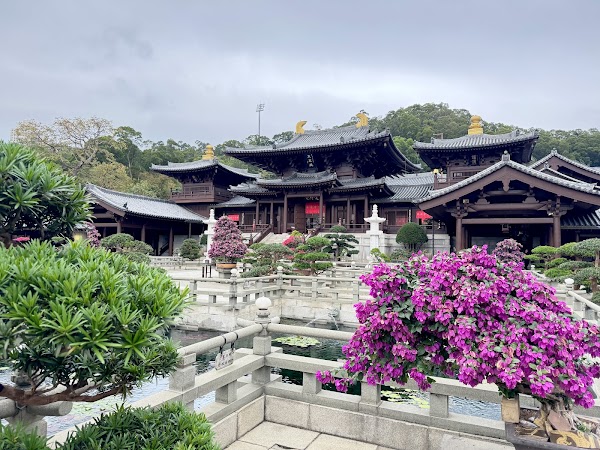 Lotus Ponds