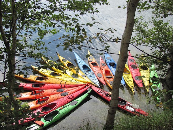 North River Kayak Tours- Cabot Trail 1