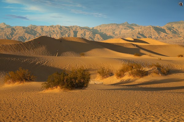 Mesquite Flat Sand Dunes 1
