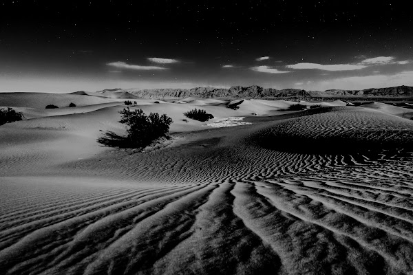 Mesquite Flat Sand Dunes 3
