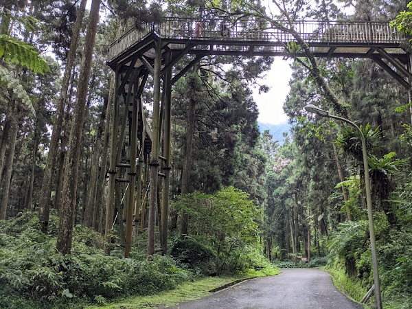 Xitou Nature Education Area 5