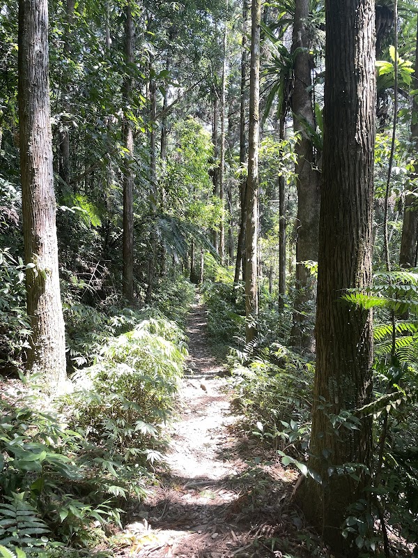 Hapen Historic Trail