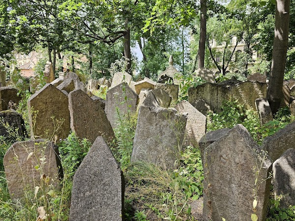 Old Jewish Cemetery 3