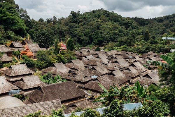 Jingmaishan Tea Forest Scenic Spot 4