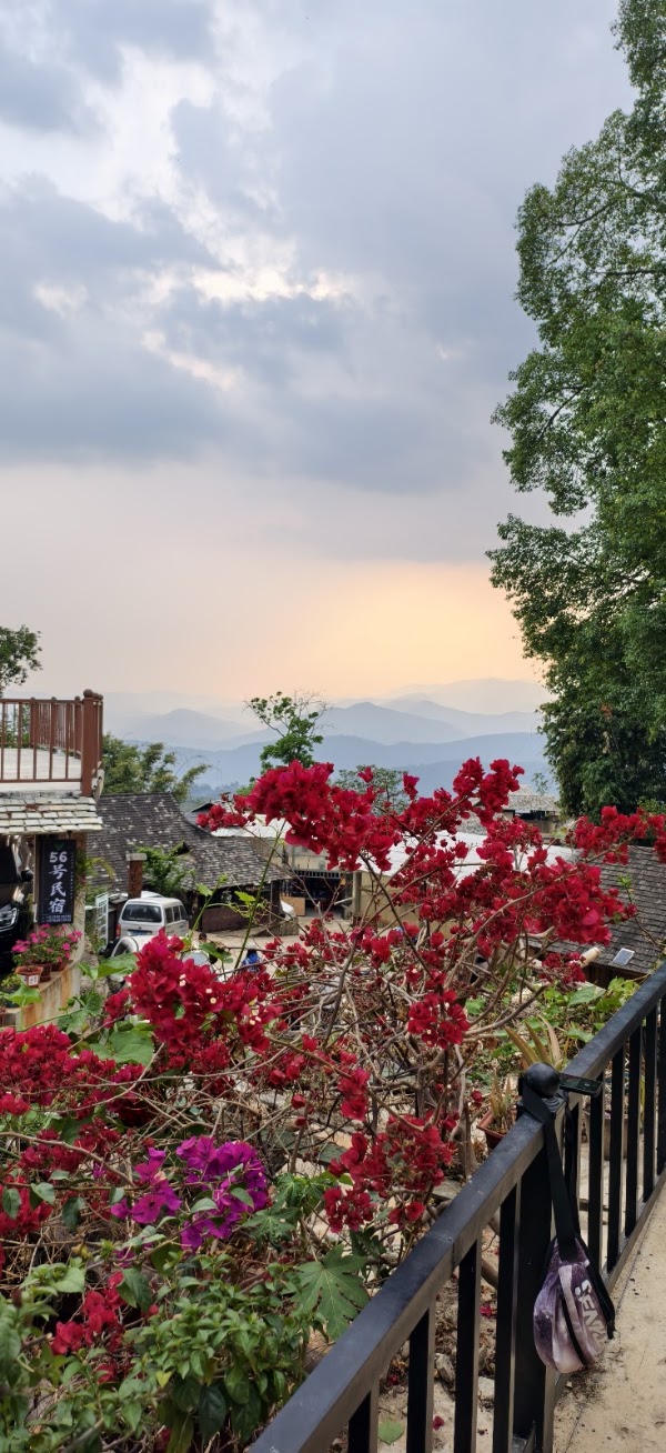 Jingmaishan Tea Forest Scenic Spot 3