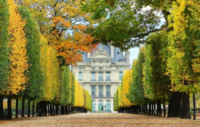 Tuileries Garden 7
