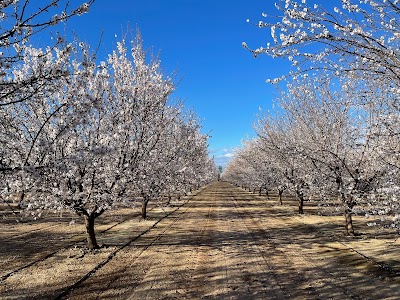 Fresno County Blossom Trail