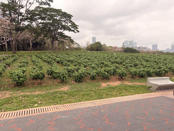Shenzhen Talent Park 3