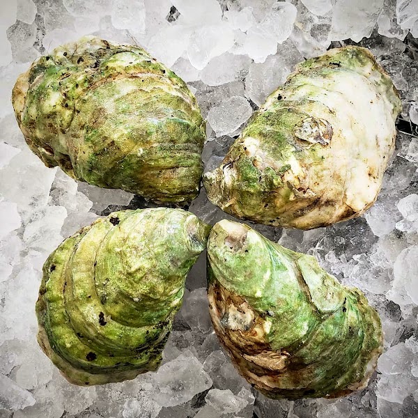 Island Oysters Restaurant & Bar 5