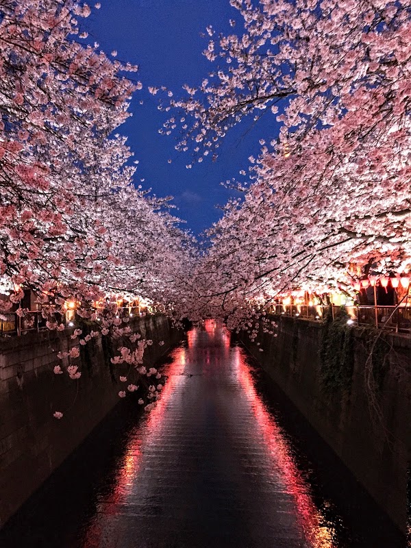 Meguro River Park