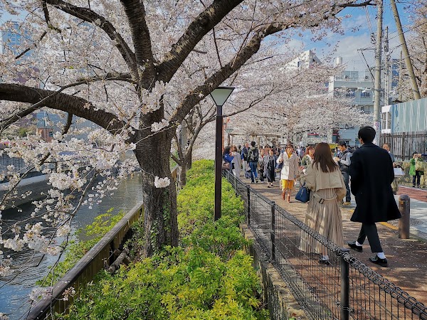Meguro River Park 5