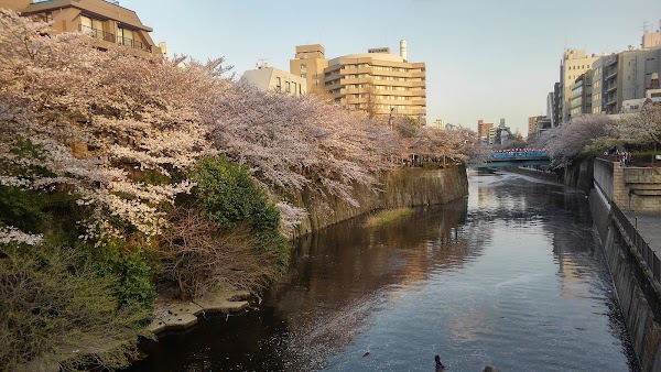 Meguro River Park 4