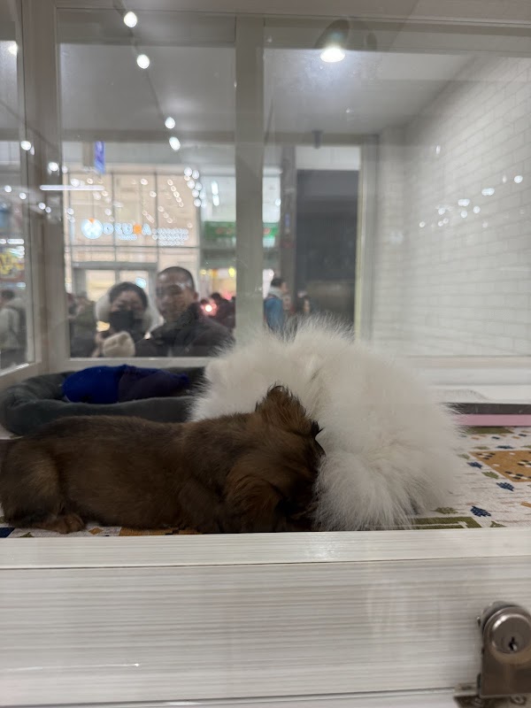 Pettoshoppu WAN Sapporoten 4