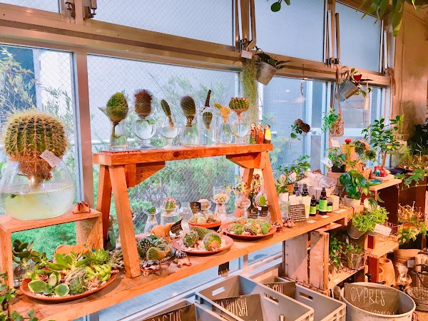 TODAY'S SPECIAL Jiyugaoka 2