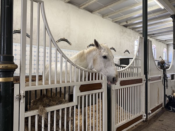 Levend Paardenmuseum 5
