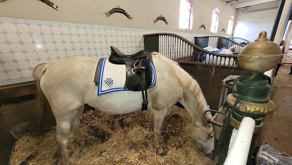 Levend Paardenmuseum 4