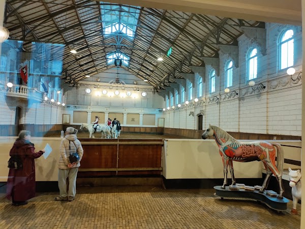 Levend Paardenmuseum 2