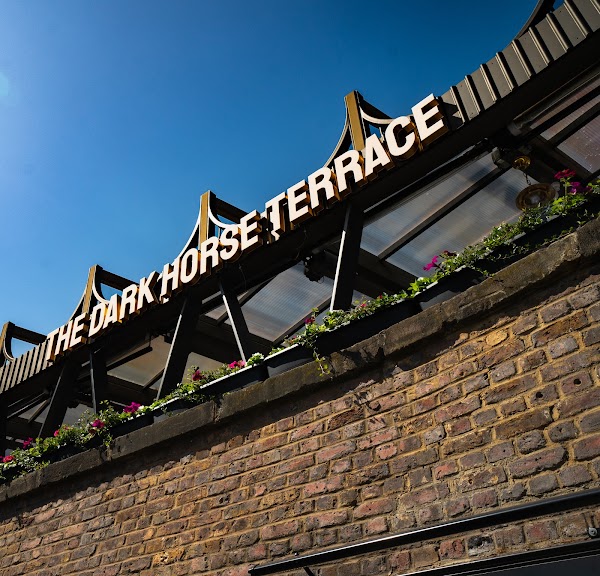 The Dark Horse Camden 4