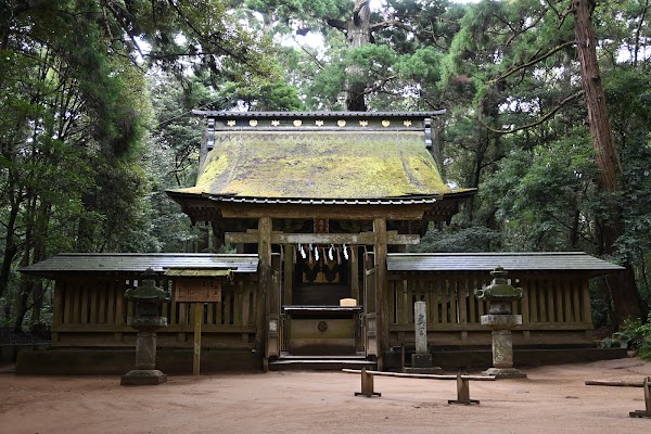 Japan 2026 74