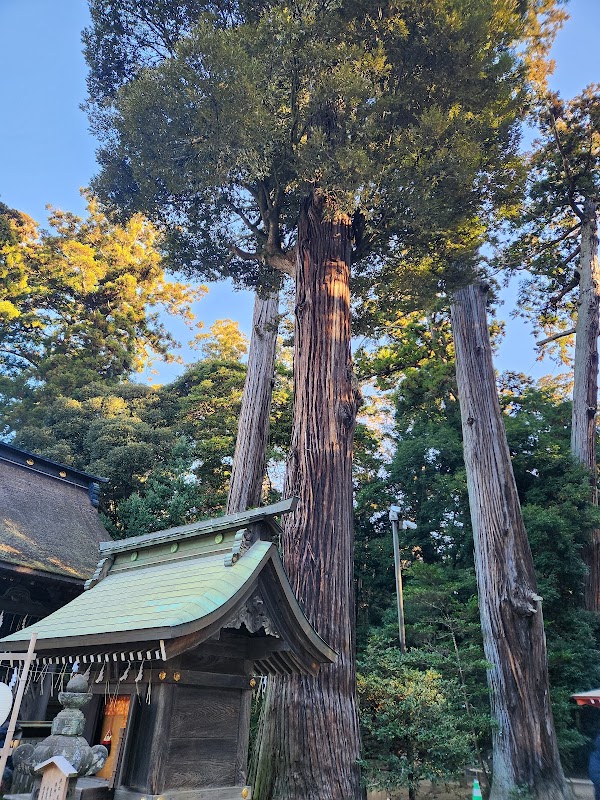 Kashima Shrine Okunomiya 2