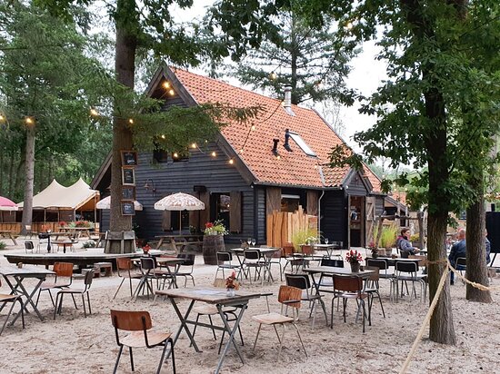 Nederland 9