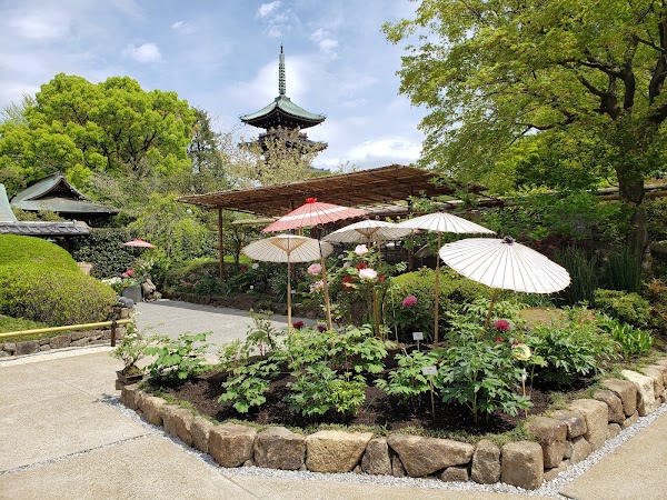 Ueno Toshogu Shrine Peony Garden