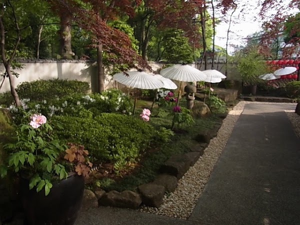 Ueno Toshogu Shrine Peony Garden 4