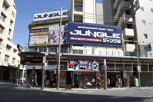 Jungle