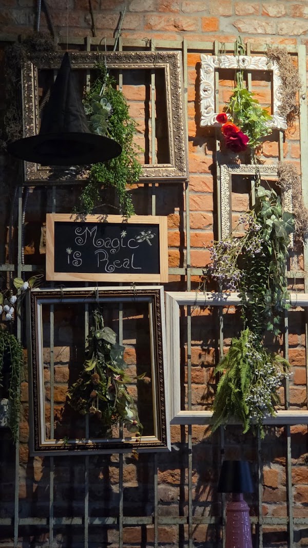 Vampire Apothecary Restaurant & Bar 2