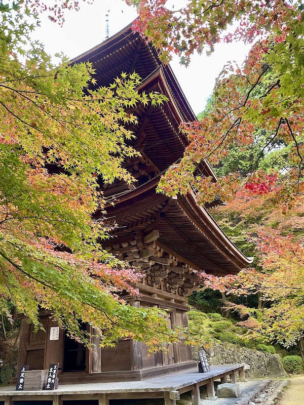 Japan 95