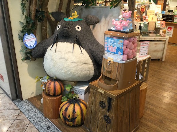 Donguri Kyowakoku (Ghibli Store) Namba 5