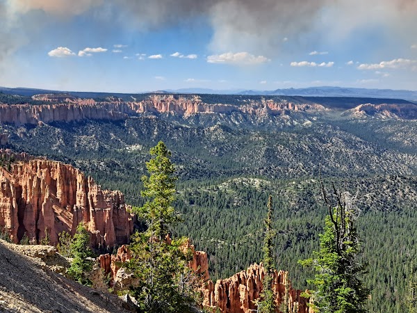 Bristlecone Loop Trail