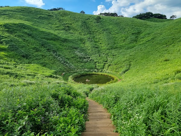 민둥산 돌리네