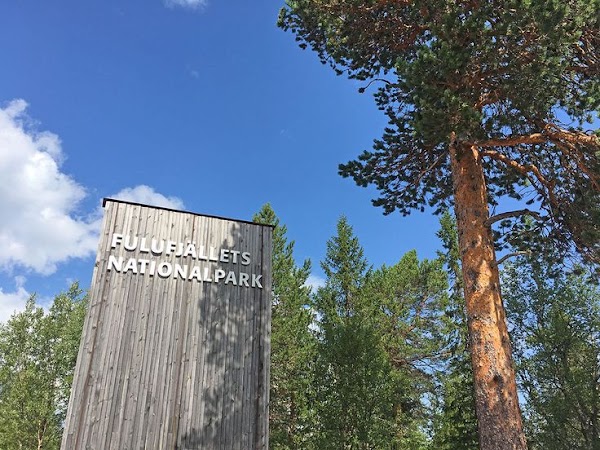 Fulufjället National Park 2