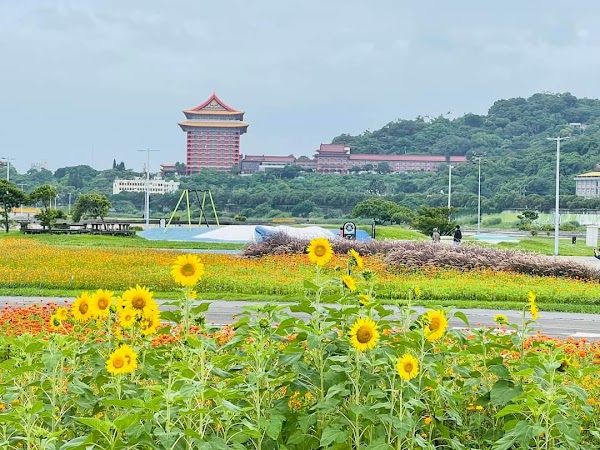 Zhongshan District 5