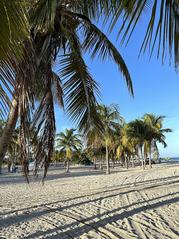 Crandon Park 5