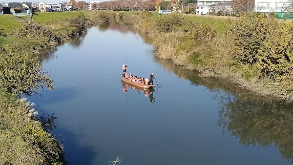 Shingashi River 5