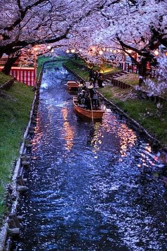 Shingashi River 4