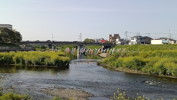 Shingashi River 3