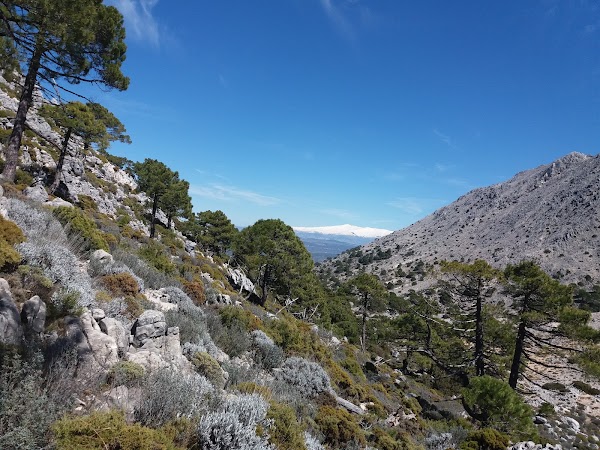 Spain